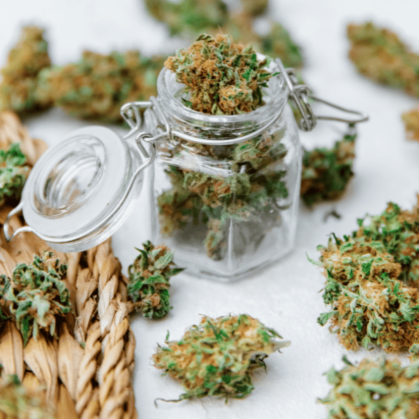 Cannabis totaal pakket