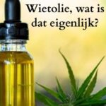wietolie wat is dat eigenlijk alles wat je altijd al wilde w eten over wietolie van lies martinus h