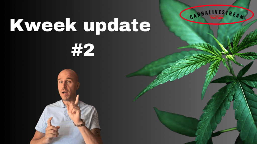 Kweek update 2