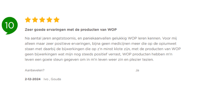 Ivo review