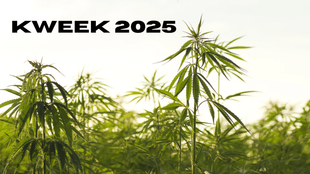kweek 2025 1.png