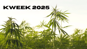 kweek 2025 1.png