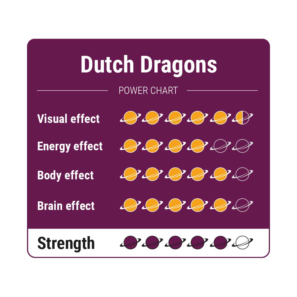 Dutch Dragons – Truffels