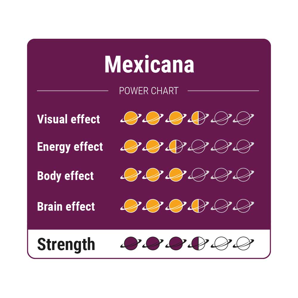 Mexicana Power Chart.jpg