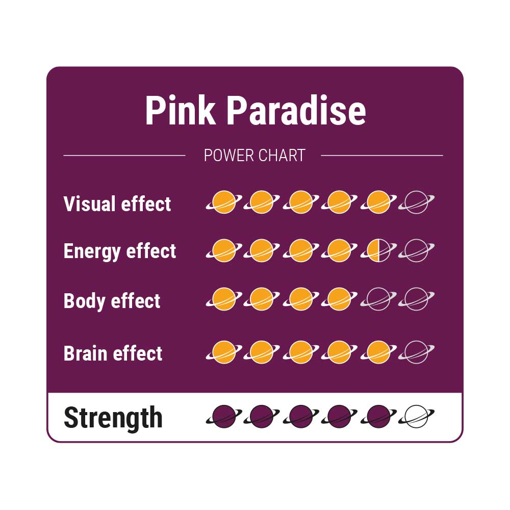 Pink Paradise – Truffels