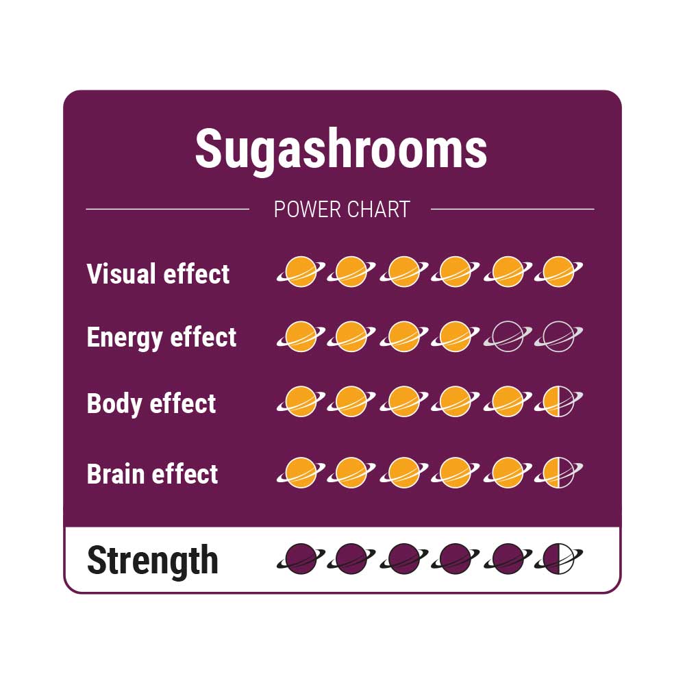 SugaShrooms – Truffels